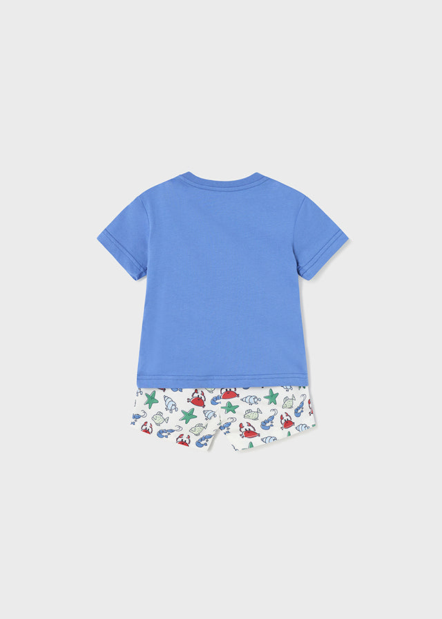 Conj. camiseta bañador