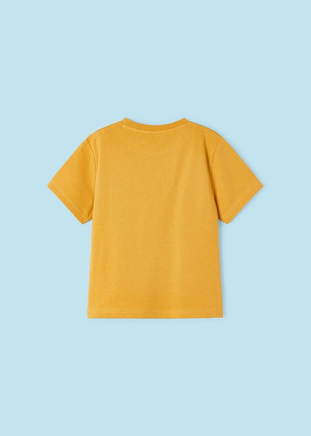 Camiseta m/c apliques