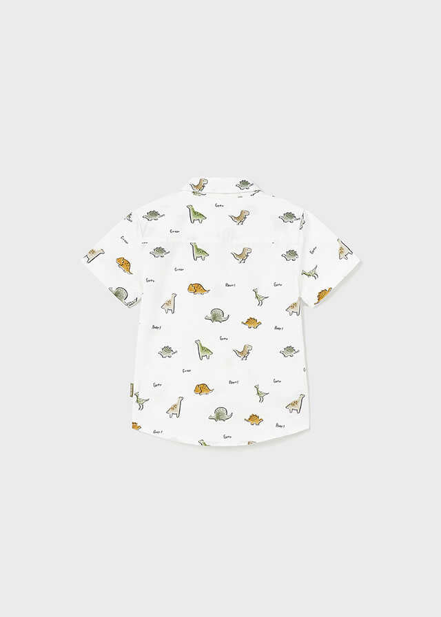 Camisa m/c estampado grande