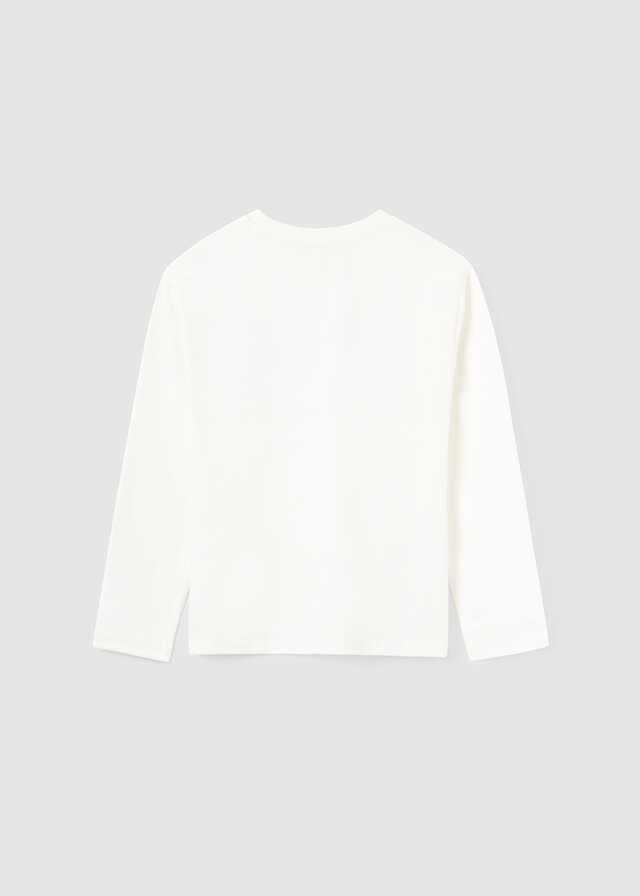 Camiseta m/l "north"