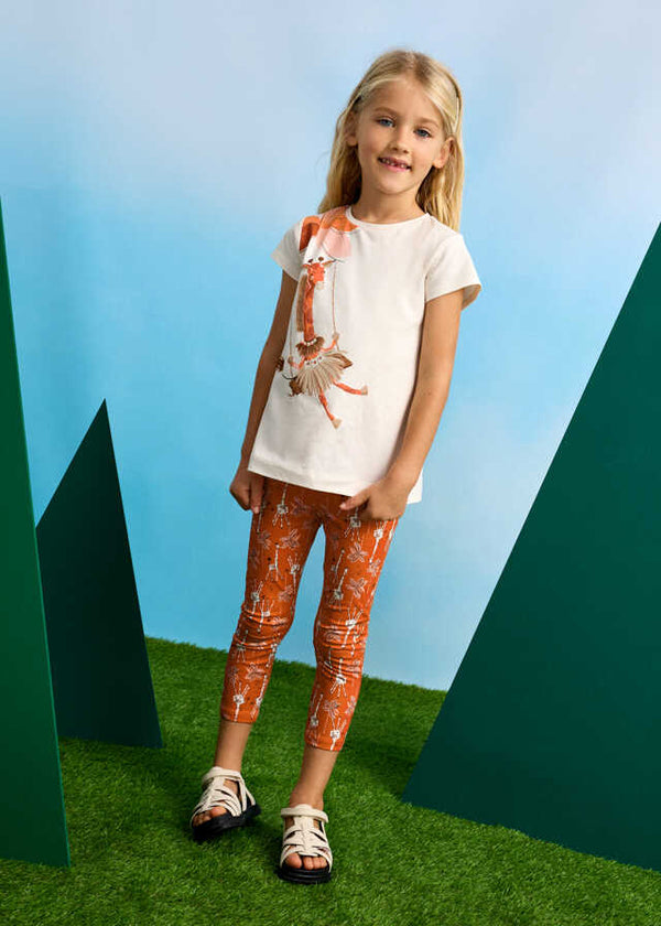 Conj. leggings tobillero