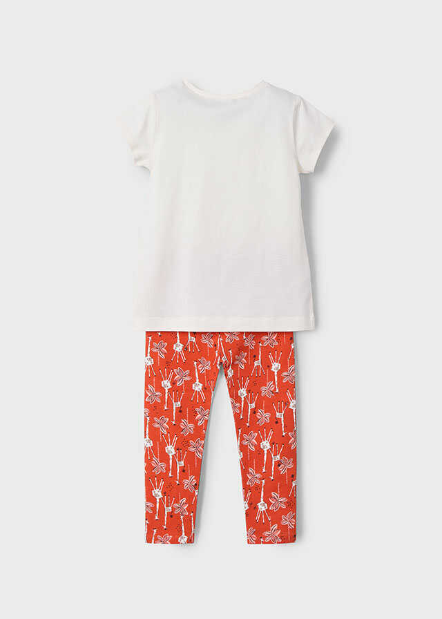 Conj. leggings tobillero