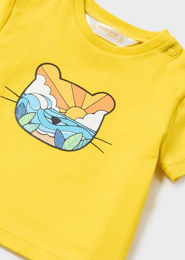 Conj. pantalon corto