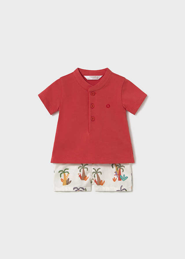 Conj. pantalon corto y polo