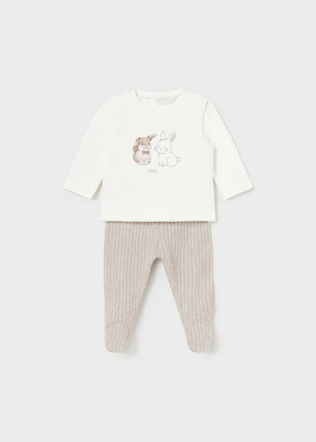 Conj. polaina estructura