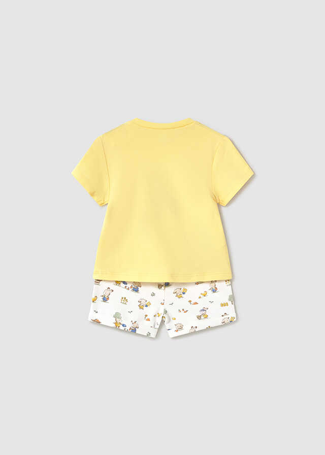 Conj. punto 4 piezas