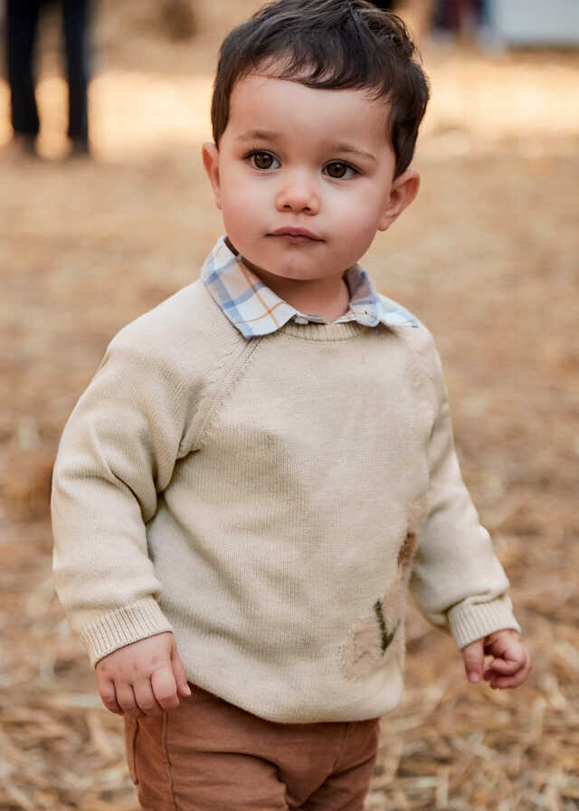 Jersey intarsia animal