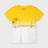 Camiseta m/c dip dye