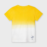 Camiseta m/c dip dye