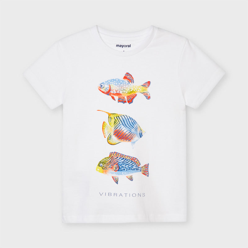 Camiseta m/c peces