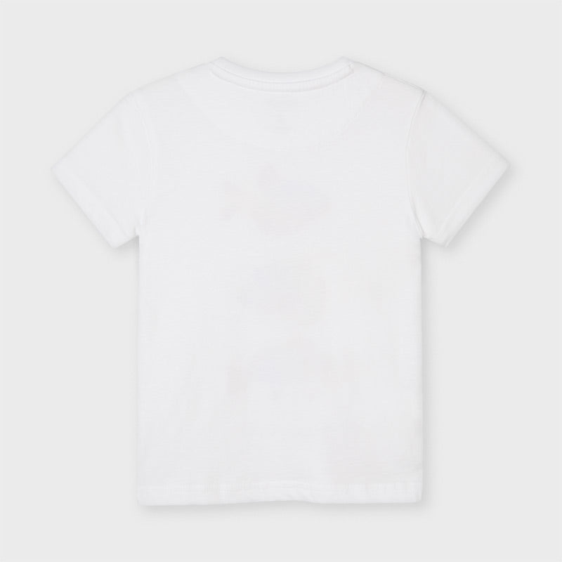 Camiseta m/c peces