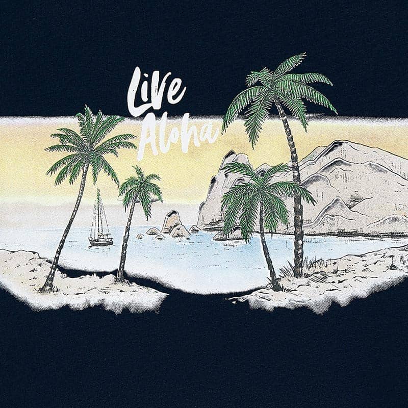 Camiseta m/c "live aloha"