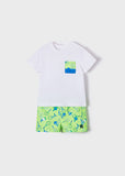 Conj. camiseta bañador