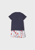 Conj. camiseta bañador