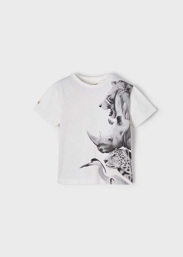 Camiseta m/c animales