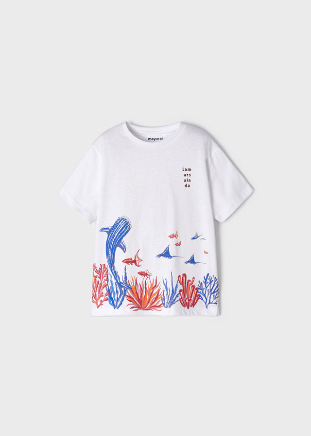 Camiseta m/c fondo marino