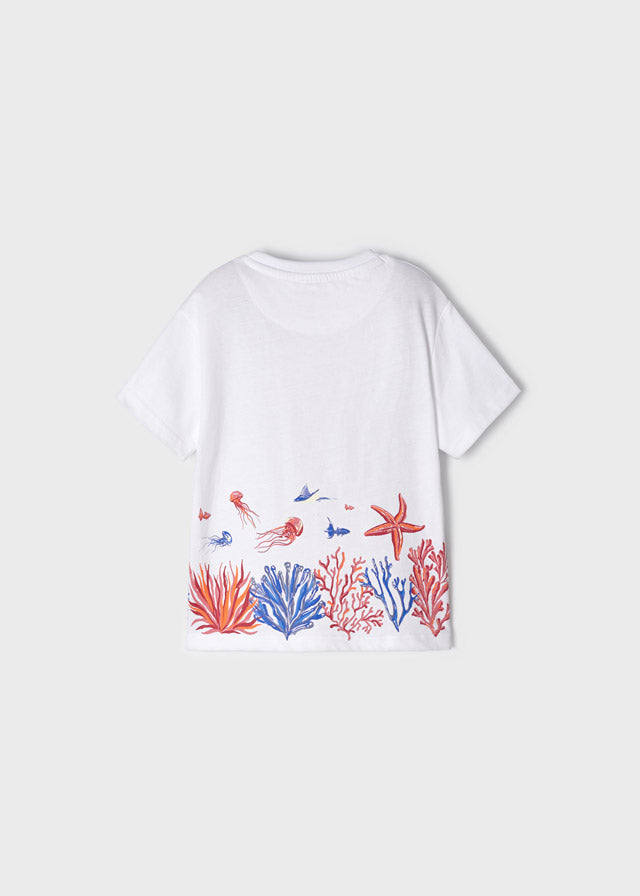 Camiseta m/c fondo marino