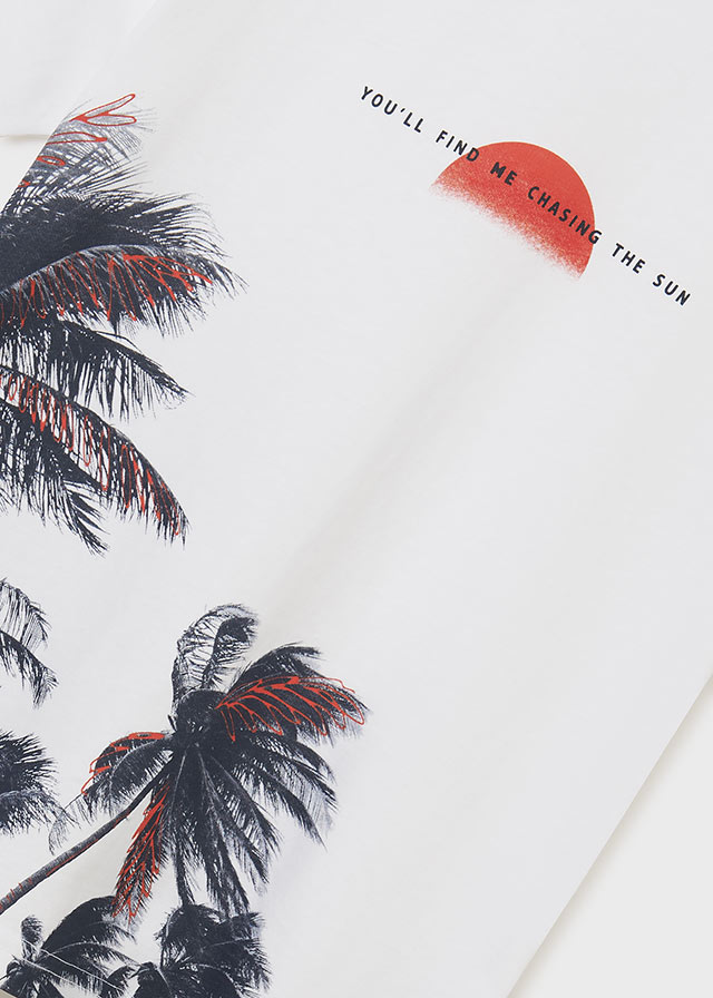 Camiseta m/c print palmeras