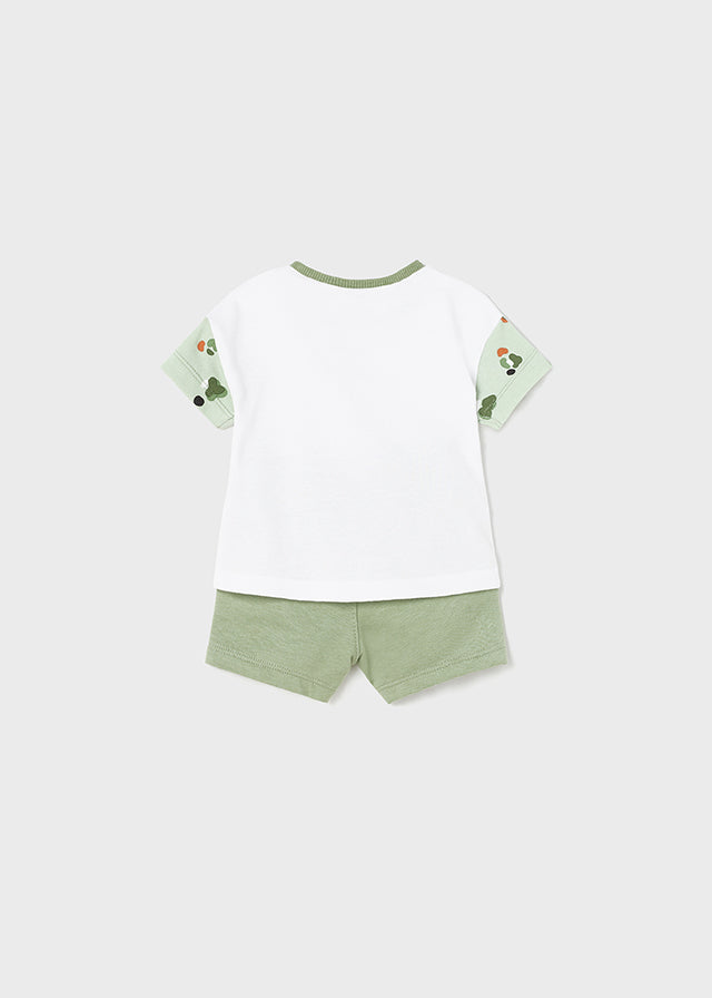 Conj. punto 4 piezas corto