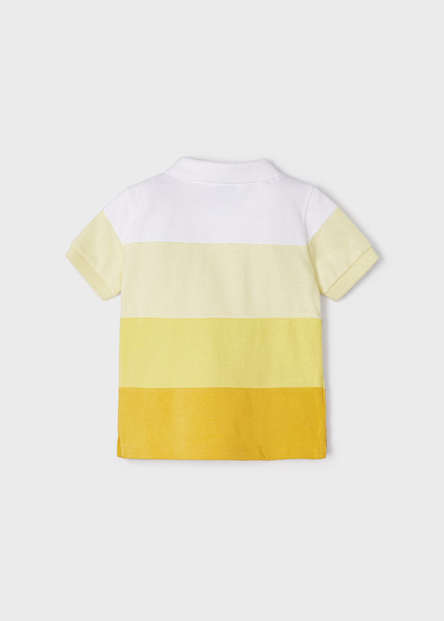 Polo m/c color block         